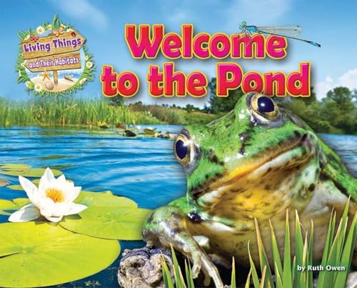 Welcome to the Pond