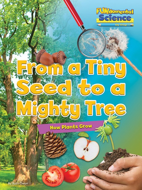 From a Tiny Seed to a Mighty Tree