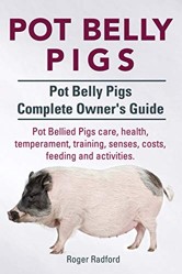 Pot Belly Pigs. Pot Belly Pigs Complete Owners Guide. Pot Bellied Pigs care, health, temperament, training, senses, costs, feeding and activities.
