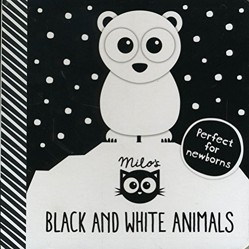 Black and White Animals
