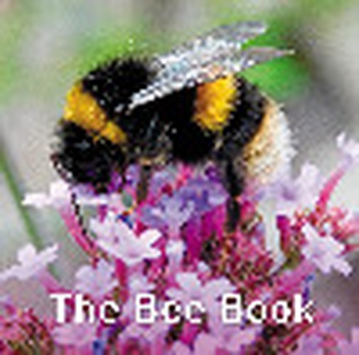 Nature Book Series: The Bee Book