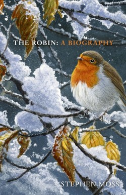 The Robin