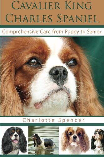 Cavalier King Charles Spaniels