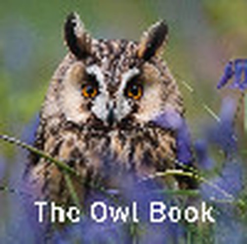 Nature Book Series: The Owl Book