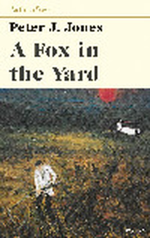 A Fox in the Yard