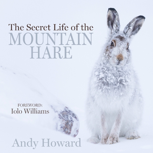 The Secret Life of the Mountain Hare