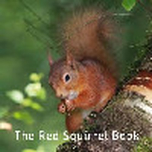 Nature Book Series: The Red Squirrel Book