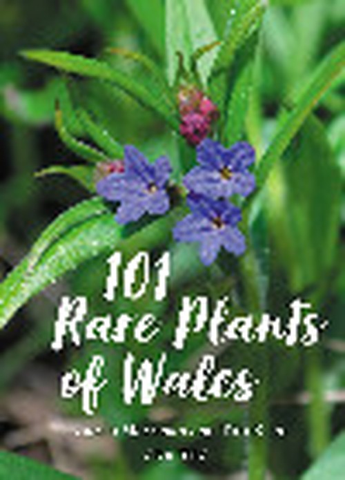 101 Rare Plants of Wales