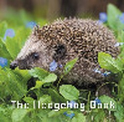 Nature Book Series: The Hedgehog Book