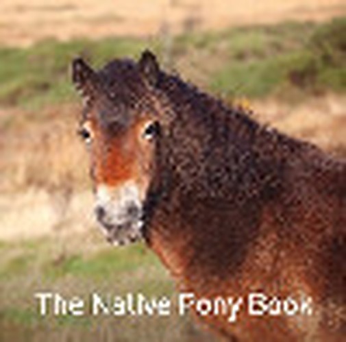 The Native Pony Book
