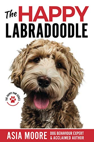 The Happy Labradoodle