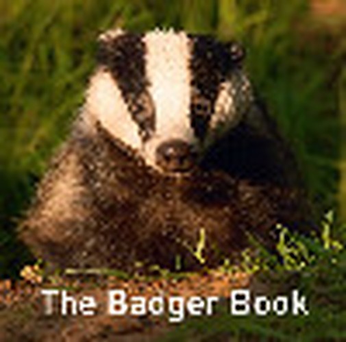 Nature Book Series: The Badger Book