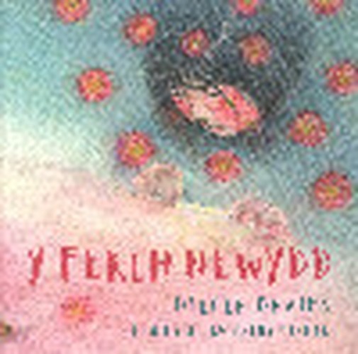 Y Ferch Newydd