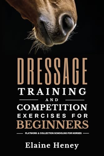 Dressage training and competition exercises for beginners