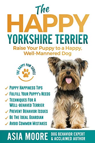 The Happy Yorkshire Terrier
