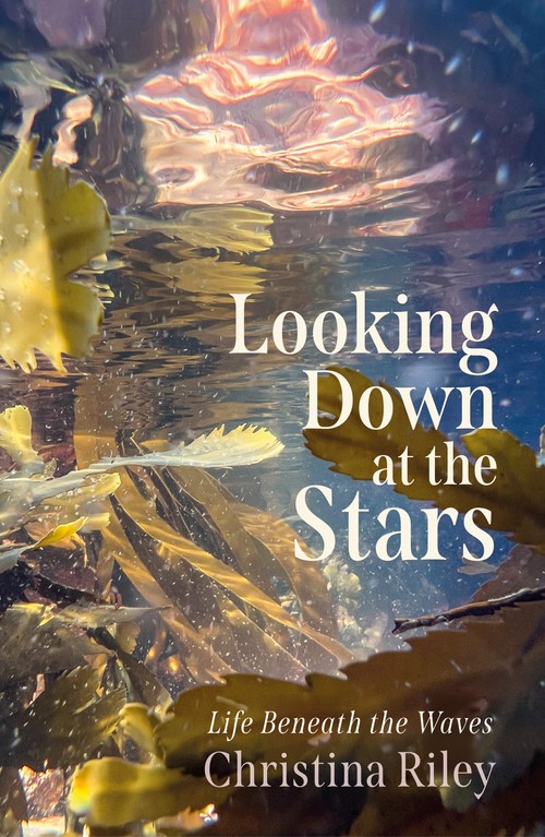 Looking Down at the Stars