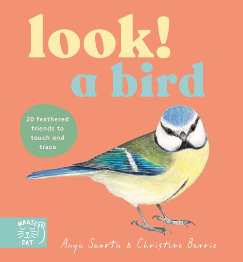 LOOK! A Bird