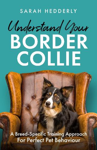 Understand Your Border Collie