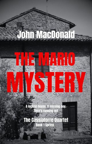 The Mario Mystery