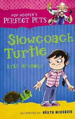 Slowcoach Turtle