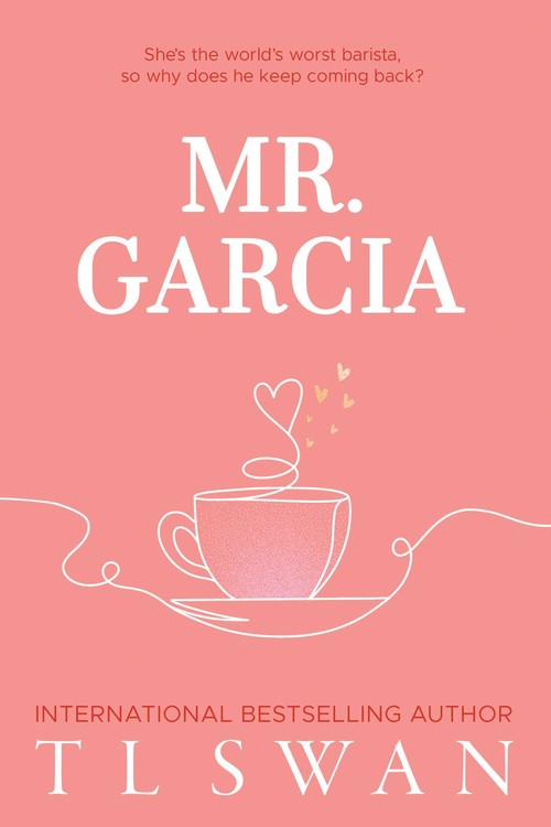 Mr. Garcia (Mr. Series Book 3)