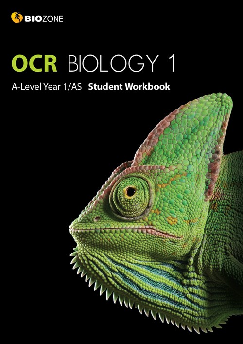 OCR Biology 1: A-Level Year 1/AS