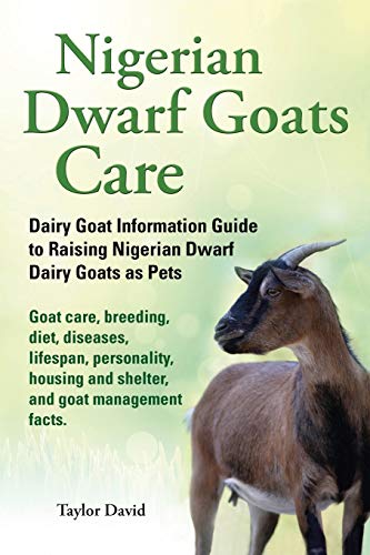 Nigerian Dwarf Goats Care