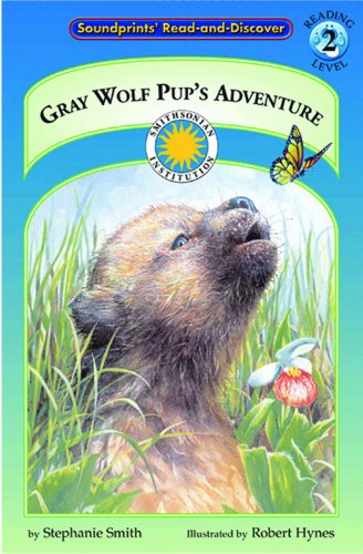 Gray Wolf Pup's Adventure
