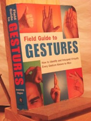 Field Guide to Gestures