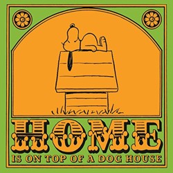 Home is on Top of a Dog House