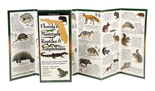 Florida's Mammals, Reptiles, and Amphibians