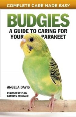 Budgies