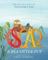 Oscar, A Sea Otter Pup: The Sea Creatures of Monterey Bay