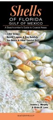 Shells of Florida-Gulf of Mexico
