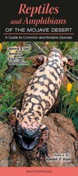 Reptiles and Amphibians of the Mojave Desert