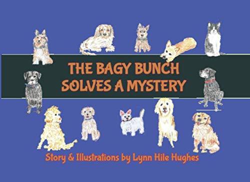 The Bagy Bunch Solves a Mystery Story  Illustrations by Lynn Hile Hughes