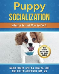 Puppy Socialization