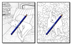 Cats & Quilts