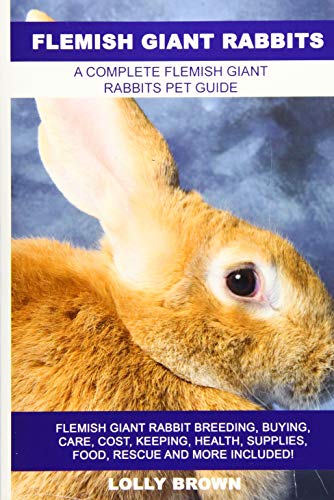 Flemish Giant Rabbits