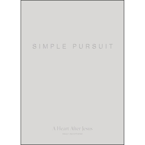Simple Pursuit