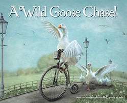 A Wild Goose Chase!