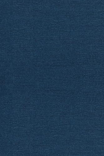 The Principles of Quantum Mechanics