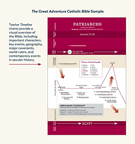 The Great Adventure Catholic Bible