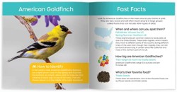 My Backyard Bird Book