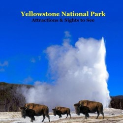 Yellowstone Park Attractions and Sights to See Kids Book