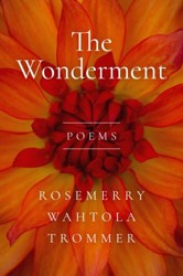 The Wonderment