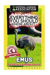 Everything You Should Know About