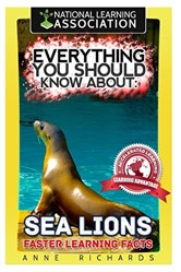 Everything You Should Know About