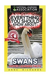 Everything You Should Know About
