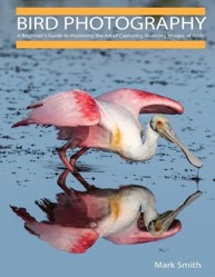 Bird Photography